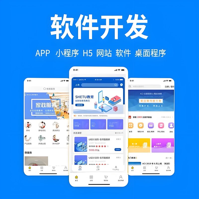 软件开发定制：从客户需求到个性化解决方案的全流程解析
